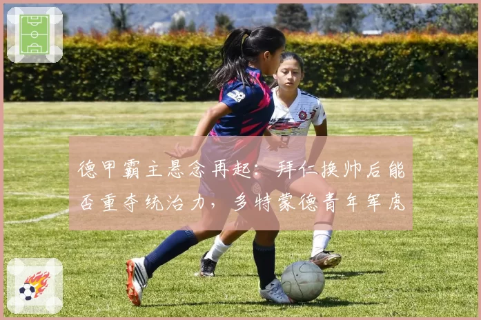 德甲霸主悬念再起：拜仁换帅后能否重夺统治力，多特蒙德青年军虎视眈眈